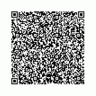vCard 78145728325