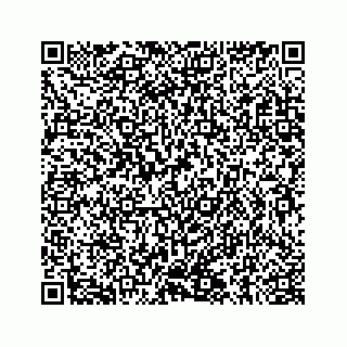 vCard 78145728328