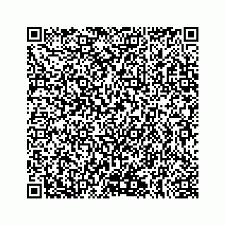 vCard 78145728333