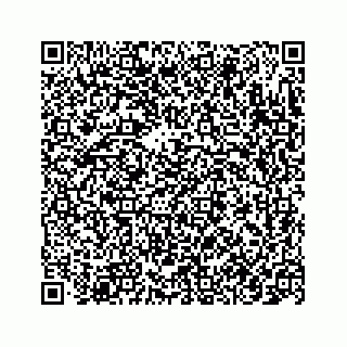 vCard 78145728341