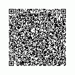 vCard 78145728379