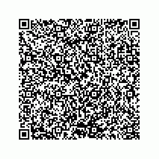 vCard 78145728381