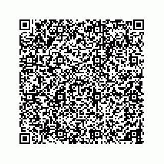 vCard 78145728383
