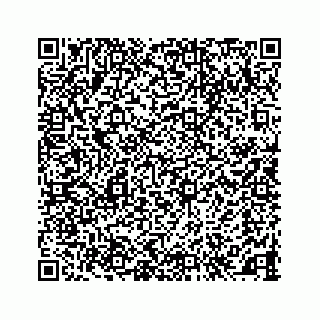 vCard 78145728410