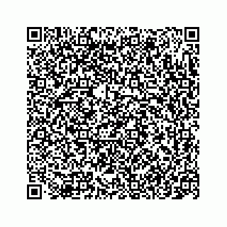 vCard 78145728411