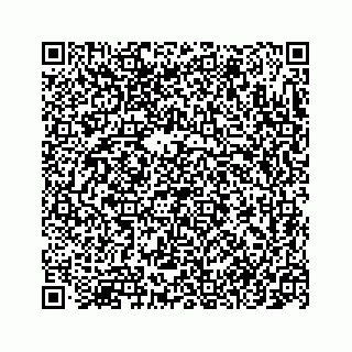 vCard 78145728413