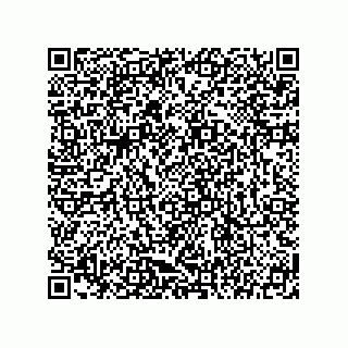 vCard 78145759275
