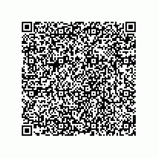 vCard 78145759279