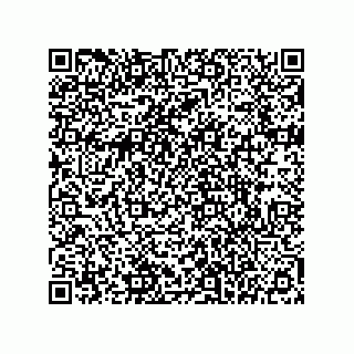 vCard 78145839303