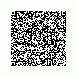 vCard 78145839313