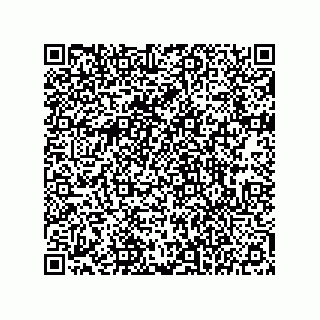 vCard 78145839333