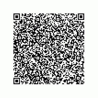 vCard 78145839353