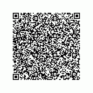 vCard 78145839373