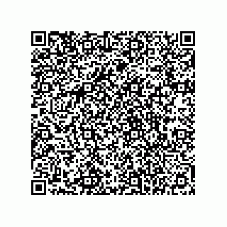 vCard 78145839377