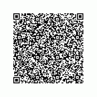 vCard 78145839379