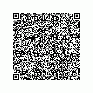 vCard 78145839381
