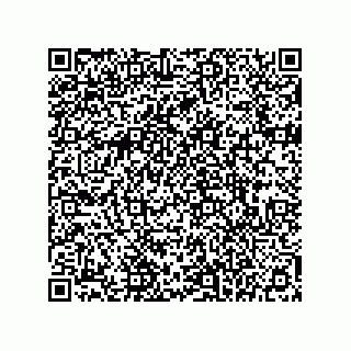 vCard 78145839383