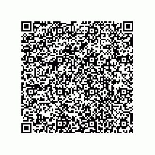 vCard 78145839385