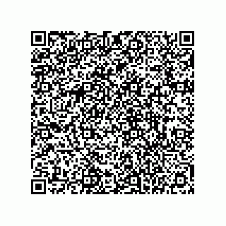 vCard 78145839387