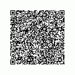 vCard 78145839388