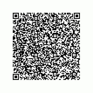 vCard 78152220381