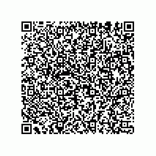vCard 78152281619