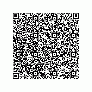 vCard 78152281737