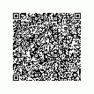 vCard 78152281738