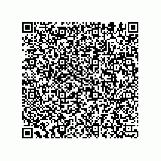 vCard 78152281769
