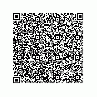 vCard 78152281777
