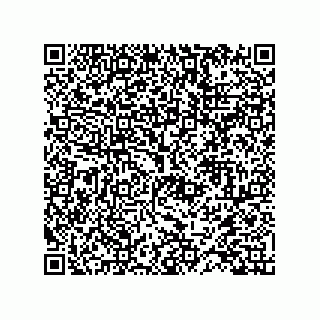 vCard 78152281887
