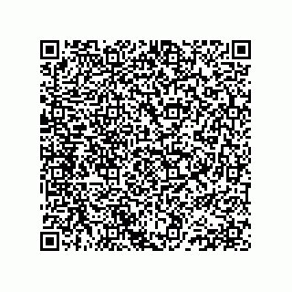vCard 78152281933