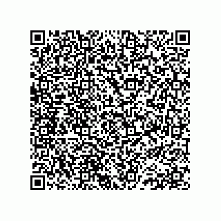 vCard 78152281937
