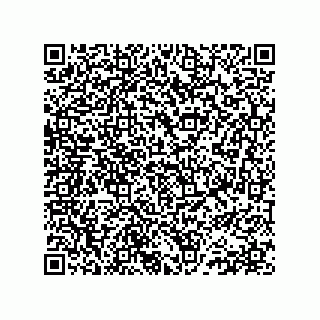 vCard 78152281981