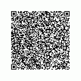 vCard 78152281999