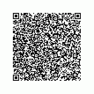 vCard 78152482133