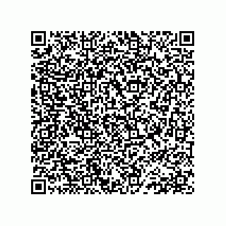 vCard 78152641041