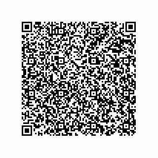 vCard 78153060003