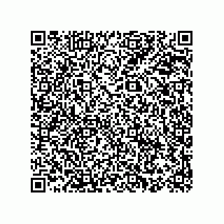 vCard 78153060035