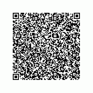 vCard 78153060100