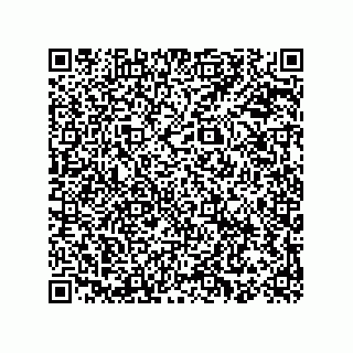 vCard 78153060394
