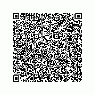 vCard 78153068333