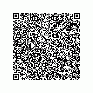 vCard 78153068384
