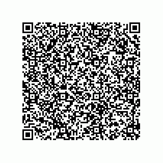 vCard 78153130002