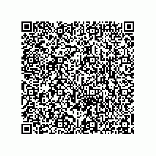 vCard 78153130003