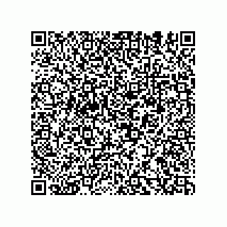 vCard 78153130028