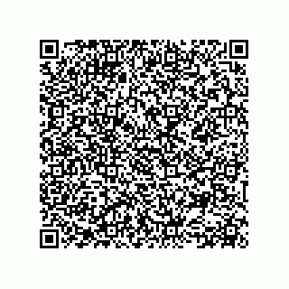 vCard 78153130040