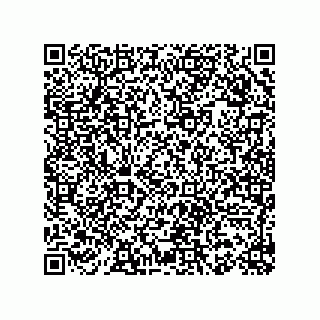 vCard 78153130041