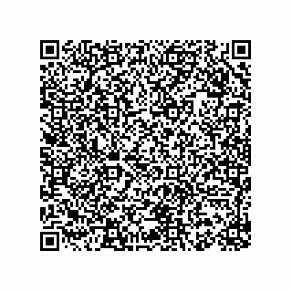 vCard 78153130065