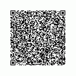 vCard 78153130069